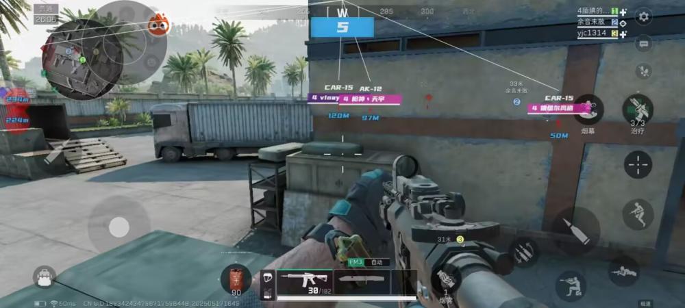 三角洲辅助哪里买-三角洲【金枝叶】直装